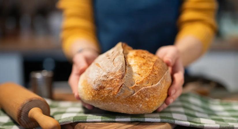 Így készül a tökéletes kovászos kenyér – A szakértők által legjobbnak értékelt hazai pékség árulta el a titkát