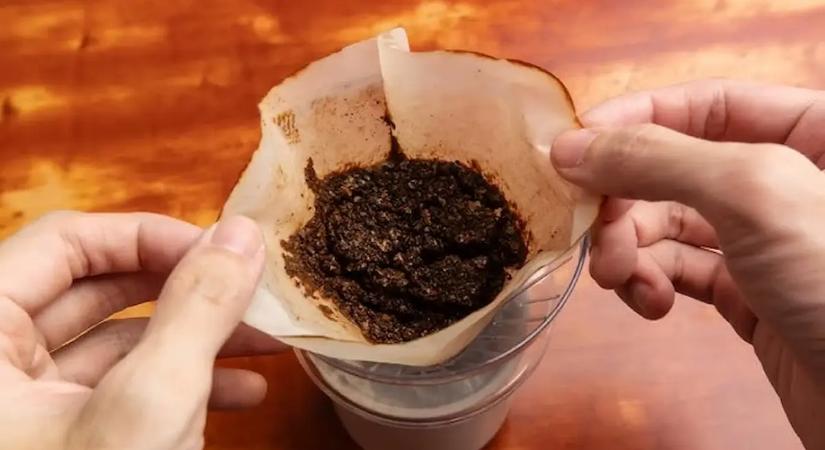 A kávézacc igazi csodaszer: 17 növény, amely hálás lesz érte