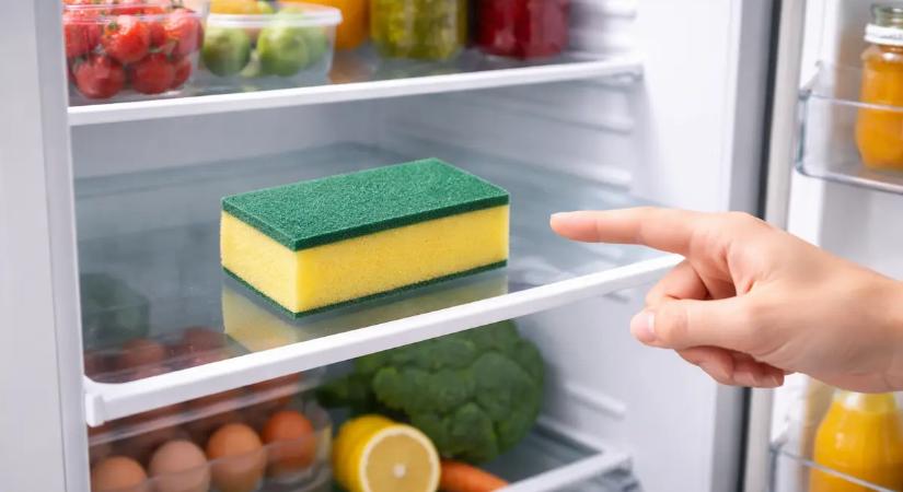 Tegyen egy szivacsot a hűtőbe: egy bosszantó probléma örökre eltűnhet