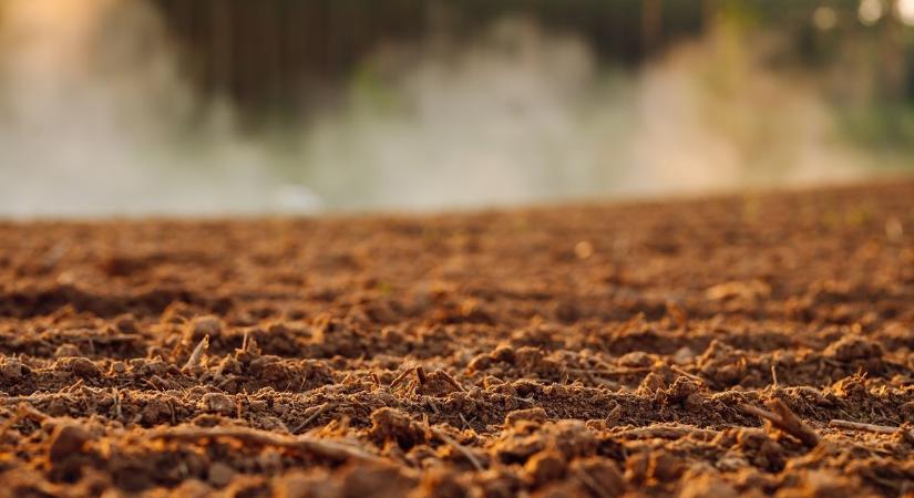 Szárazság fog uralkodni a következő napokban – De jó ez nekünk?