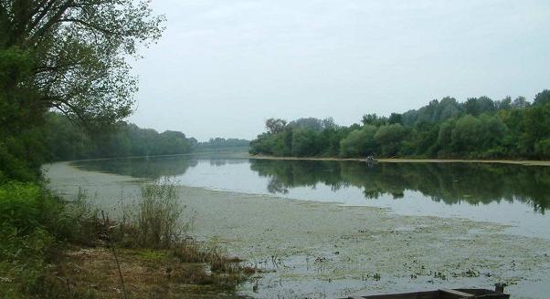 Hullát sodort a Tisza vize, határőrök találtak rá