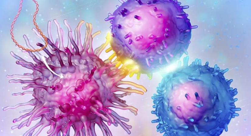 Végre megfejtették, miért újulhat ki a rák