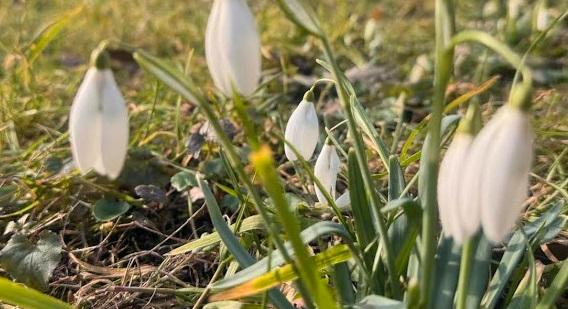 Derült, napos, tavaszias idő várható a hétvégén