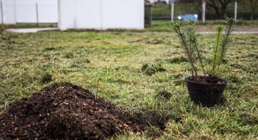 Szűk elitbe került Kisújszállás: Sokan jelentkeztek, de csak keveseknek sikerült
