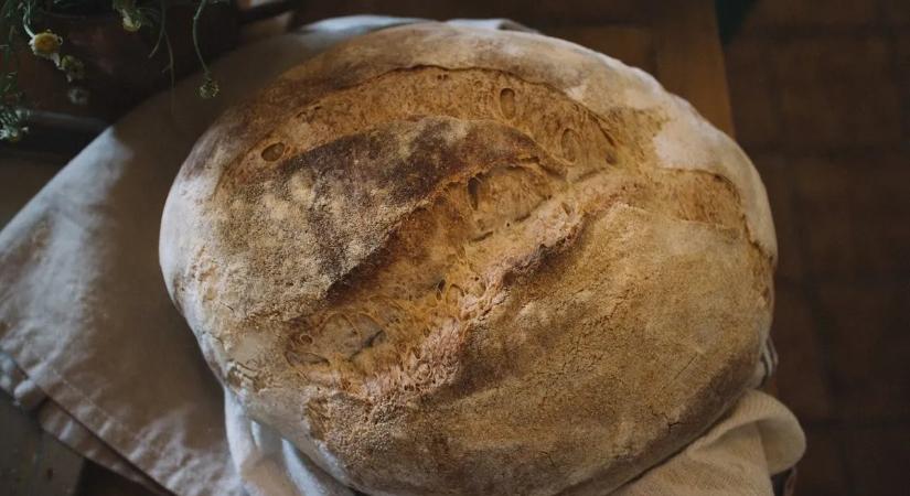 Ez a pékség verte a mezőnyt – így készül a legjobb kovászos kenyér