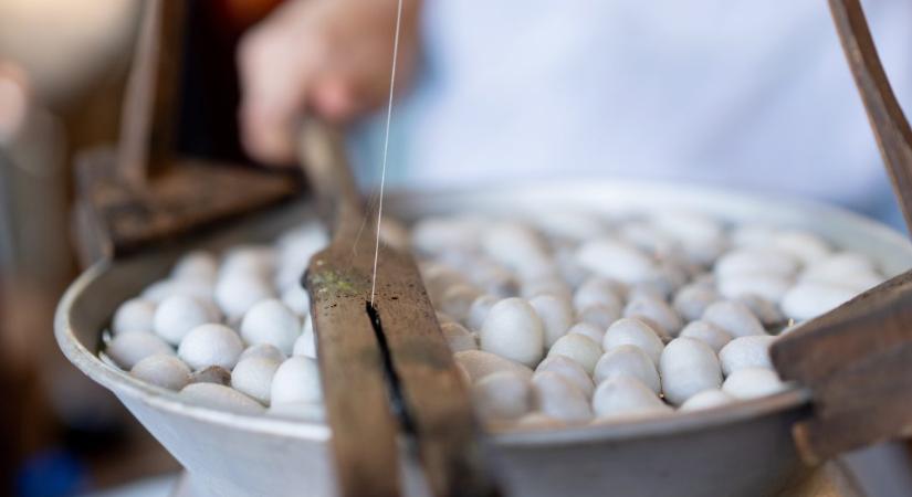 (Szép)irodalmi selymek