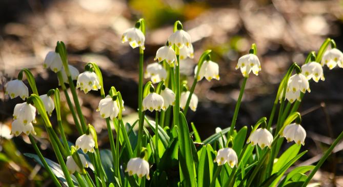 Nem is kívánhatnánk szebb kirándulóidőt februárban