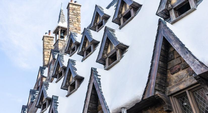 Miért omlott össze a Harry Potter vérvonal‑logikája?