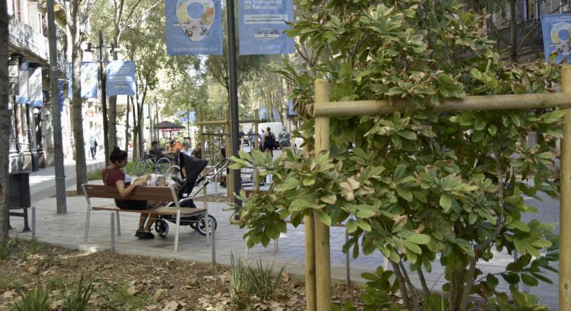 Így menekülhetnek meg a pusztuló városrészek a közpénzek elapadása után