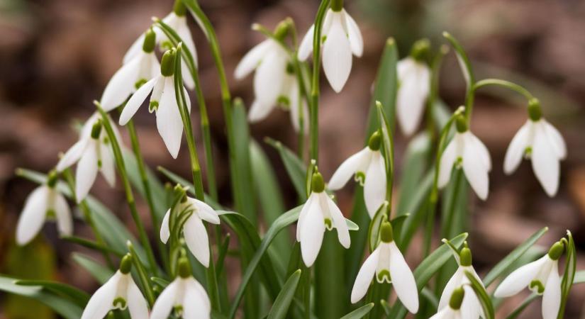 Fátyolfelhők tánca a szombati égbolton