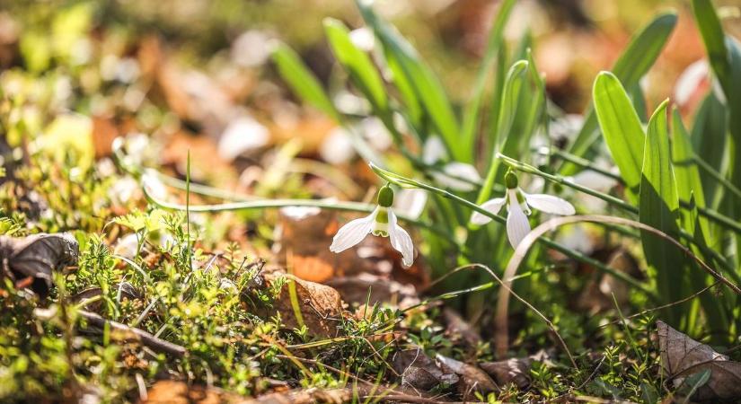 Időjárás holnap: váratlan fordulatot tartogat a szombat