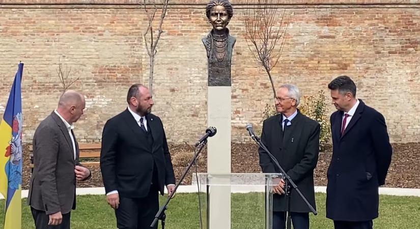 Szégyen Hómezővásárhelyen