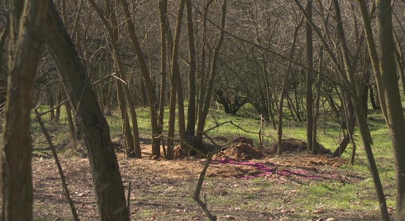 27 év rejtélye tört meg Ceglédbercelen: eltűnt anya maradványai kerültek elő