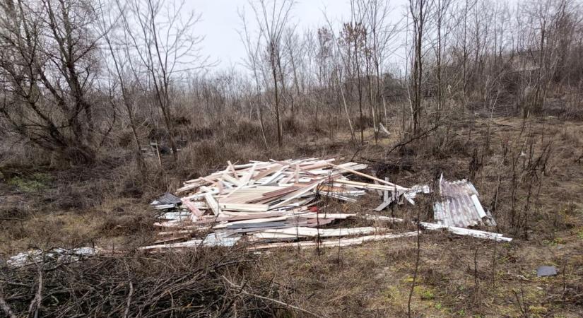 Hűtők, tévék, koszos pelenkák az erdőben: a bajai önkéntesek újra megmozdulnak a szeméthegyek ellen