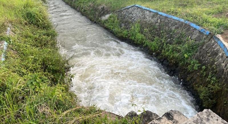A kutyáját próbálta menteni a 64 éves nő, de megfulladt
