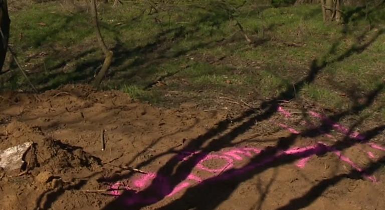 Megrázó fordulat, megtalálták az 1999-ben eltűnt anya holttestét Ceglédbercelen