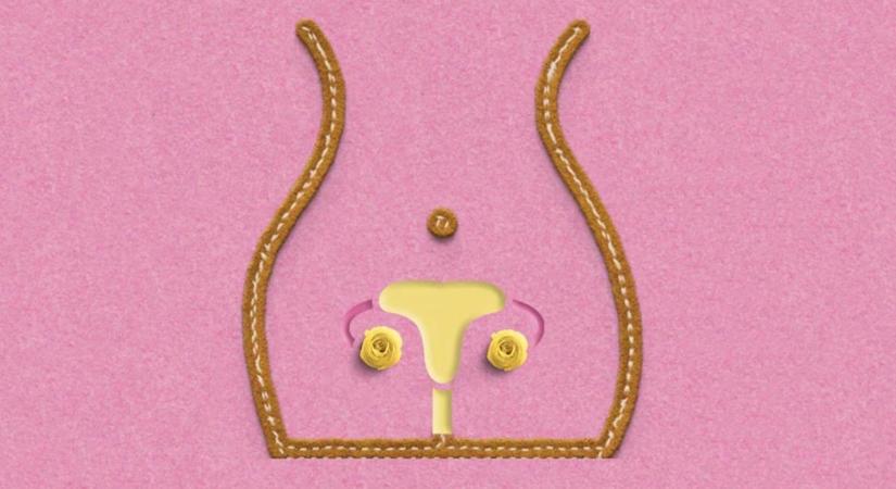 Így változik a hüvely az életkorral – forma, illat, ruganyosság