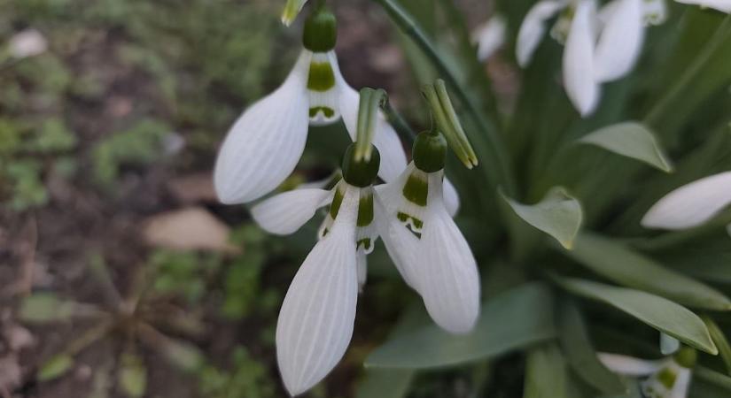 Mediterrán levegő, kellemes enyhülés: ilyen lesz a holnapi időjárás Hevesben
