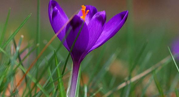 Ilyen időjárás várható február 28-án, a meteorológiai tél utolsó napján