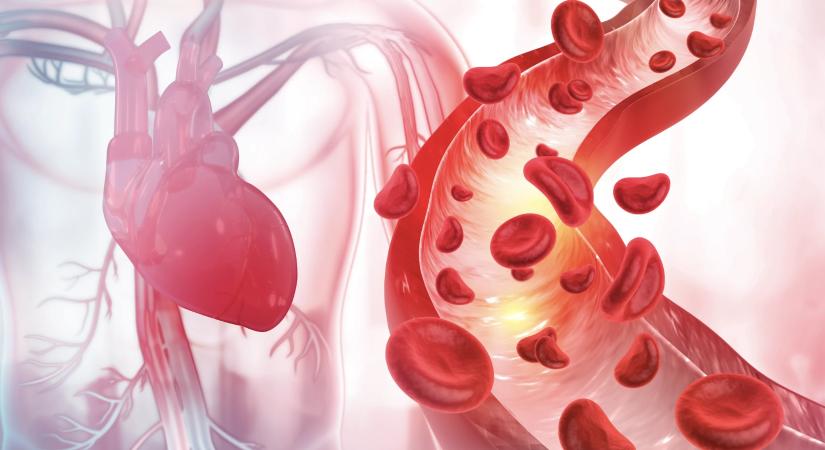 Koleszterin, vérnyomás: rendben! De mi a helyzet a vérzsírral?