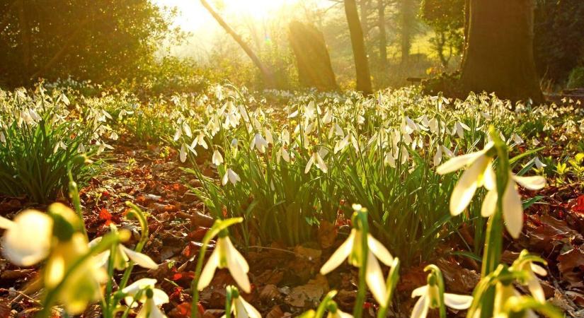 Igazi csavargós idő lesz a mai, elő a túracipőkkel!