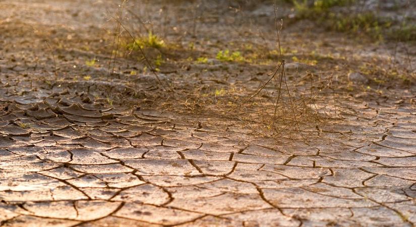 Kiderült, mi mentheti meg a Földet a globális megaaszálytól