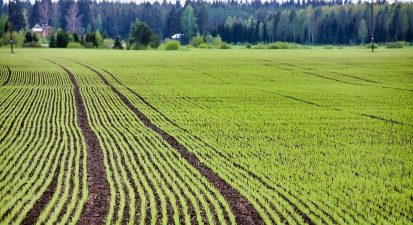 3 napos időjárás-előrejelzés: Permeteznél? Mutatjuk, milyen idő lesz!
