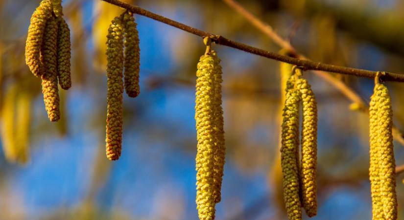 A tél utolsó napján főpróbát tart a tavasz