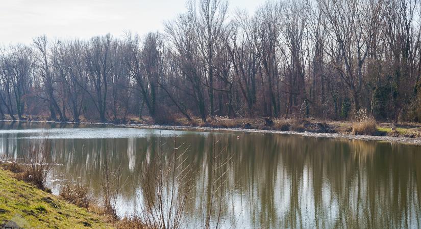 Fátyol mögött a tavasz