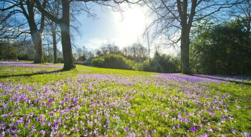 A hétvége időjárása a tavasz jegyében telik