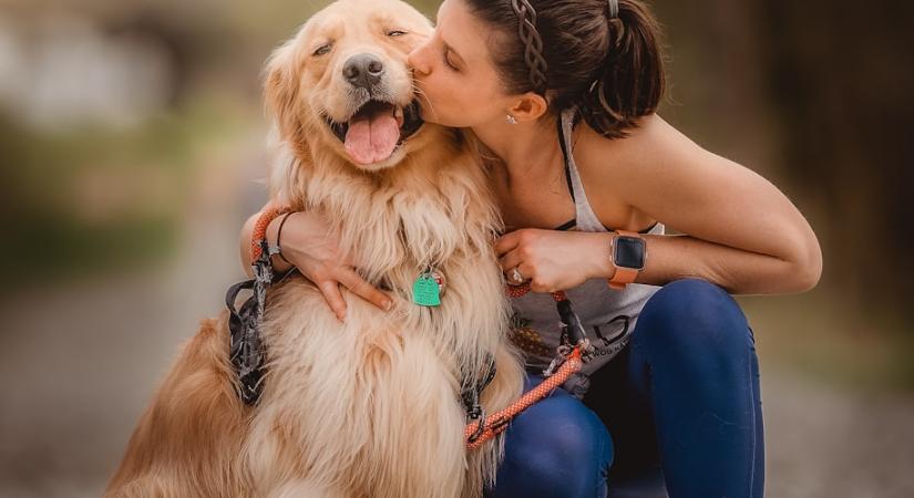 Ha ezt csinálja a kutyád, nem kérdés, mindennél fontosabb vagy neki