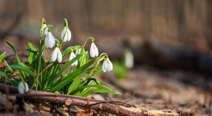 Egy dolog, ami nem változik: napsütésből ma is kijut nekünk bőségesen!