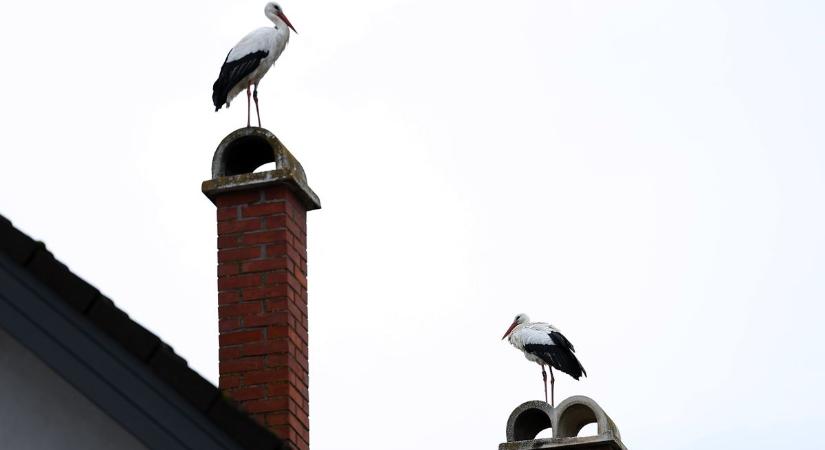 Napsütés és boldogság