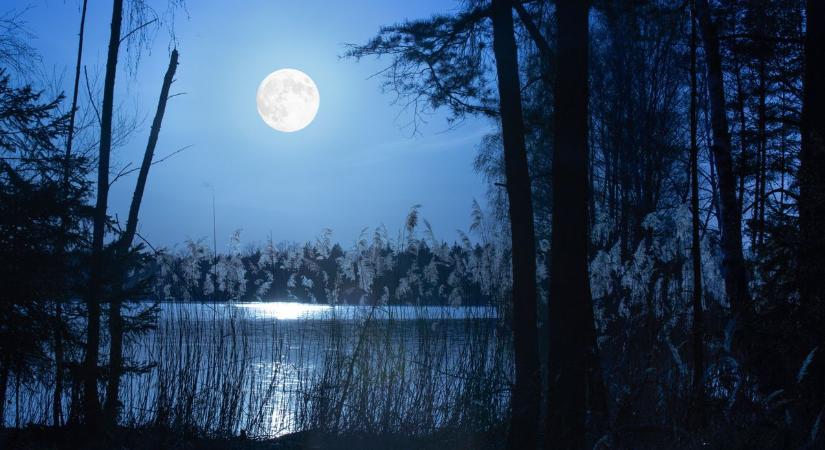 Tavasz túra a Mecsekben és barangolás is lesz a holdfényben