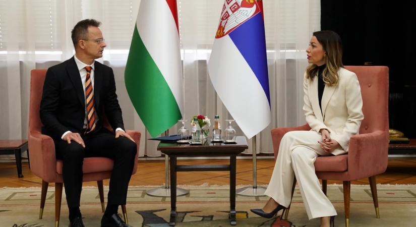 Szerbia és Magyarország könnyítésekről egyeztet a kamionsofőrök számára