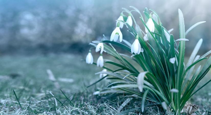 Kora tavaszi időjárás: ha a havazás nem dobott fel, akkor most eljött a te időd