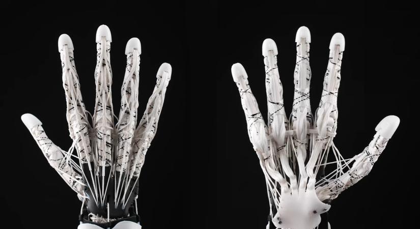 Egy magyar cég forradalmasítaná a robotkezek gyártását