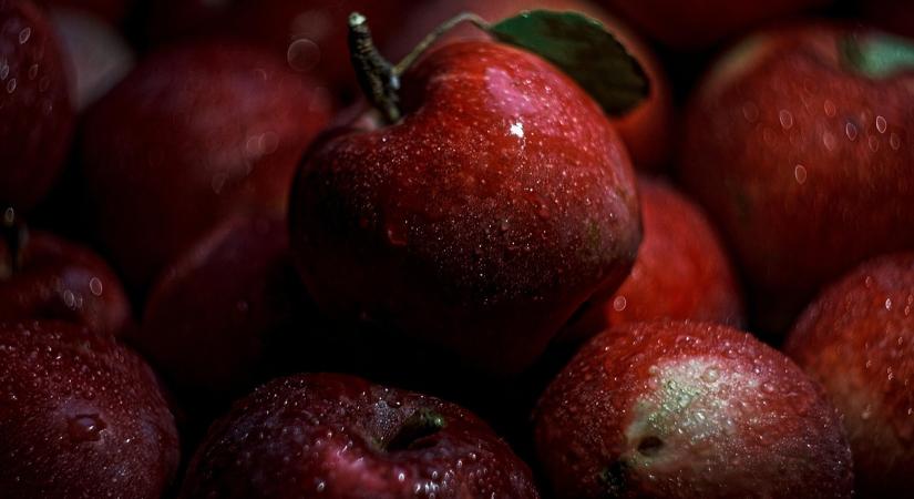 Kerti alma a kamrában: mitől lesz lisztes februárra, és hogyan előzd meg?