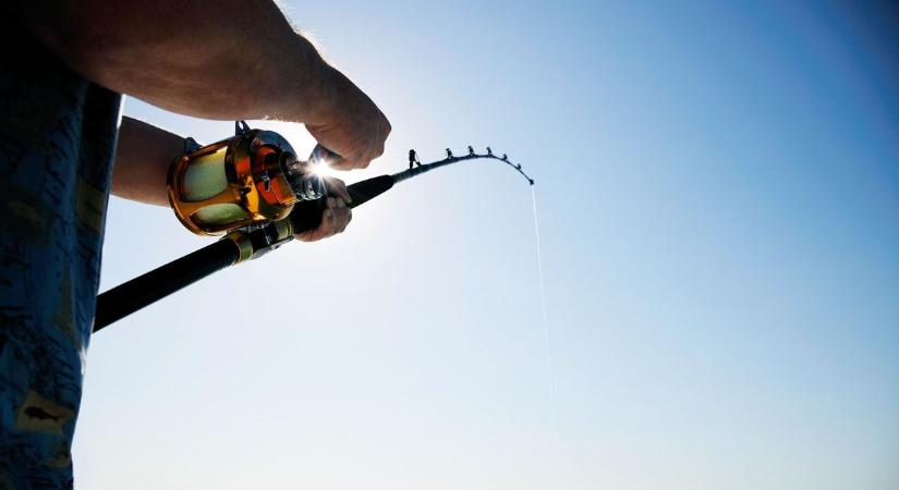 Ilyen hal nem is létezik: a Balatonból mégis kifogták (fotó)