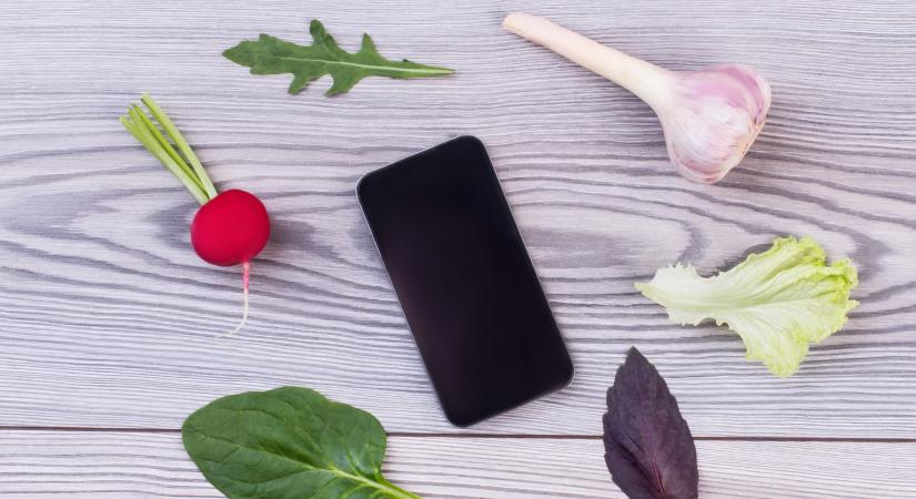 Hiába a spórolás, az élelmiszer és a kütyük mindig viszik a pénzt