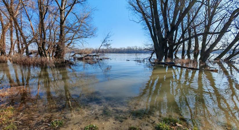 Így vonul le az árhullám Dunaújvárosnál – videó és fotók