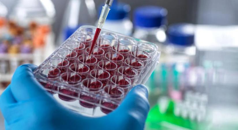 Hatalmas a baj, ha ezt kimutatják a vérében