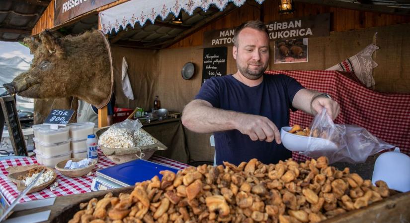 Mi történt a töpörtyű árával? – Íme a nagy tepertőkörkép