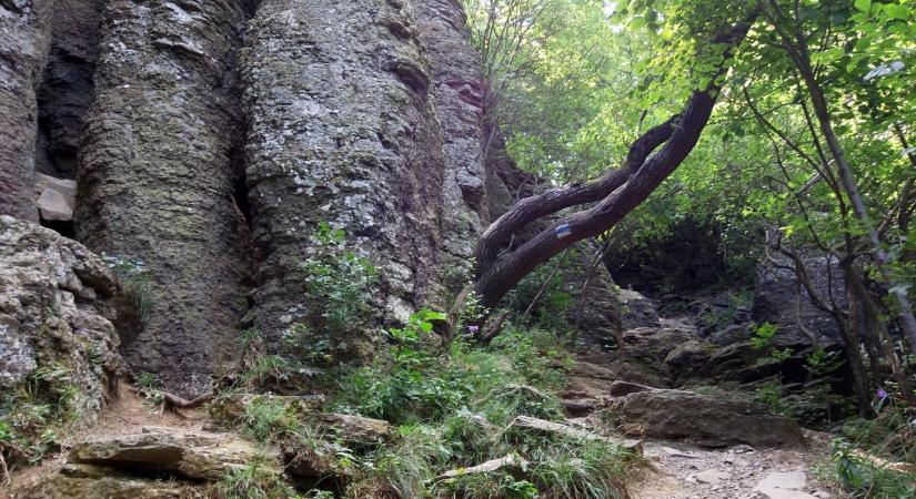 Fejlesztések indulnak a Szent György-hegyen: új lépcsők, ösvények és panoráma