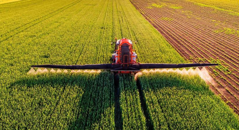 Kritikus hetek előtt az őszi vetések