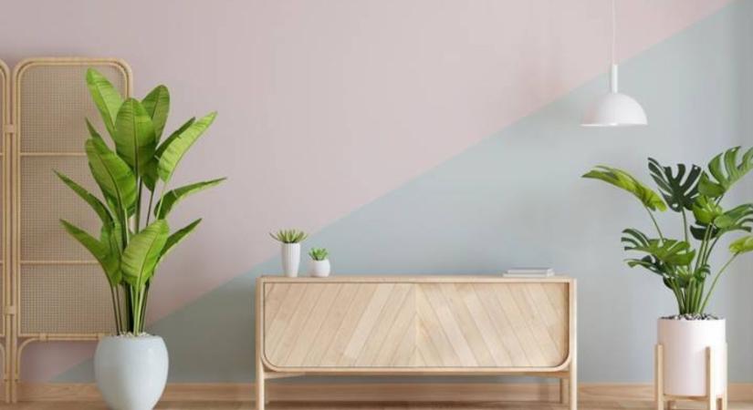 Növénytrend, ami nemcsak szép, de hasznos is