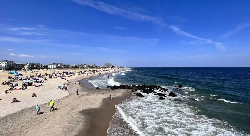 Mindenki elámult, amikor kiderült, mit talált a homokba temetve egy család