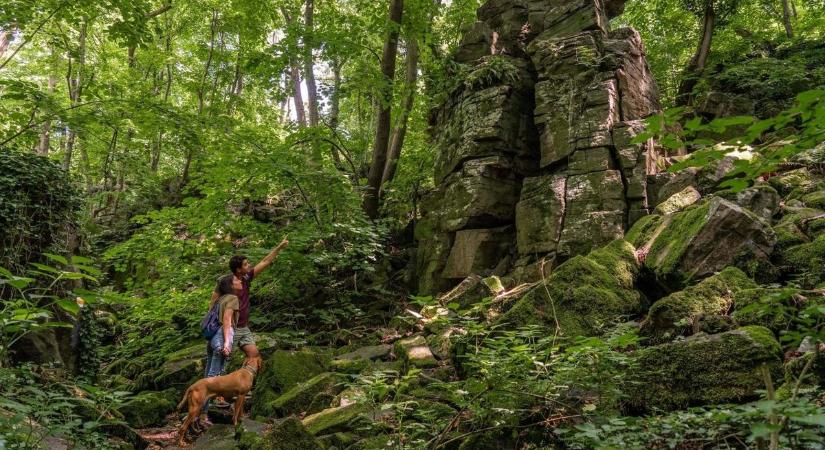 Elő a bakancsokkal! Öt teljesítménytúra a Szeretünk Zala ajánlásával, egy már most vasárnap