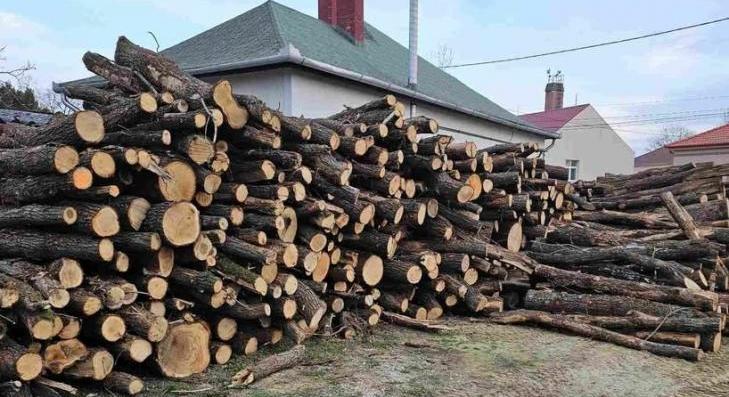 Minden igénylő megkapta az ingyenes tüzelőt 