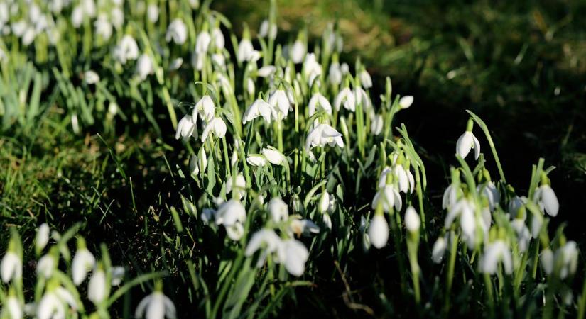 Kevés csapadékkal és sok napsütéssel kezdődik az első tavaszi hónap